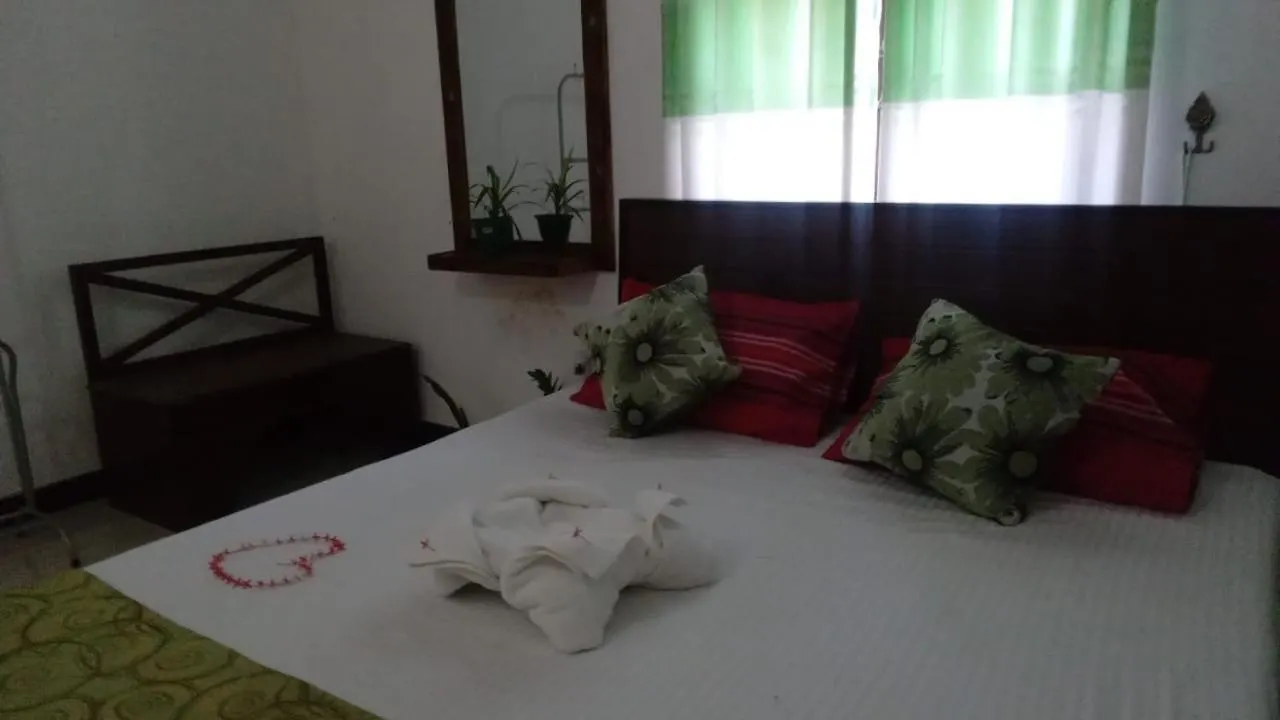 New Coconut Villa Habarana Guest house